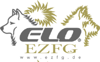 ezfg-Logo